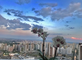 Vista de Alta Mente Psiquiatria - Beleza da Natureza.jpg